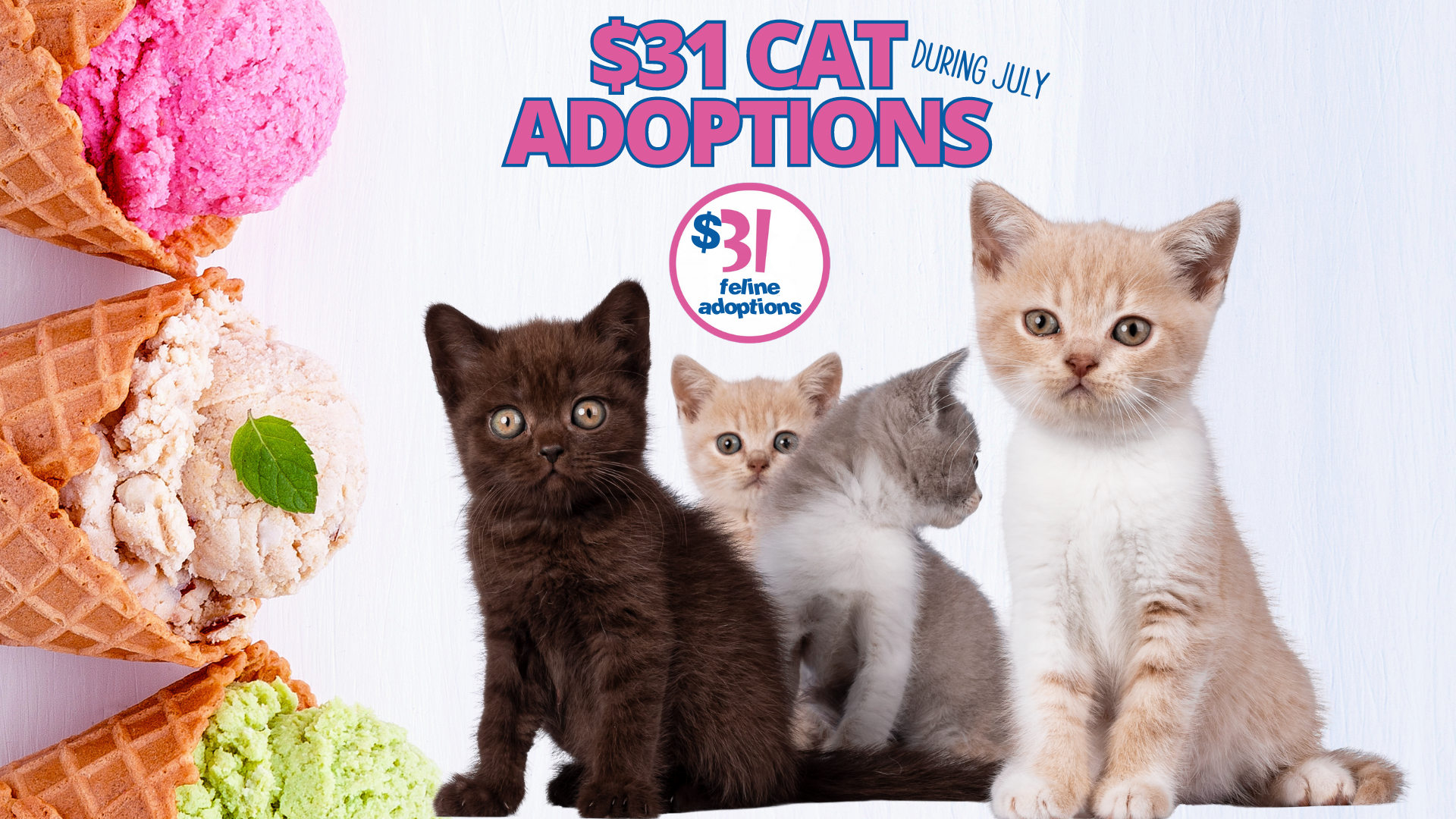 $31 Cat Adoptions (Facebook Event Cover)