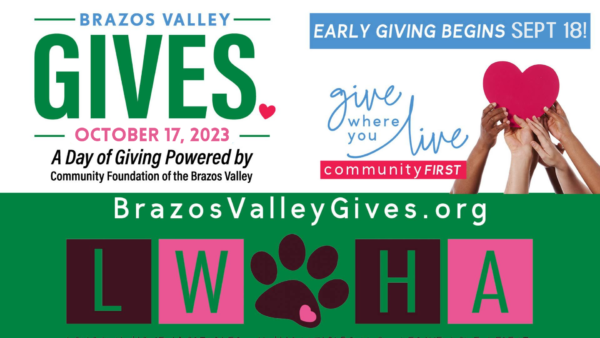 brazos valley gives early giving (1)