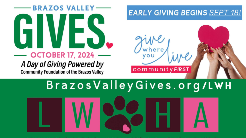 brazos valley gives early giving (1)