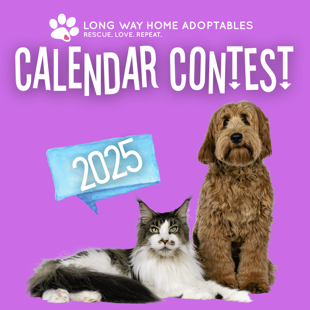 Copy of Long Way Home Adoptables (Facebook Cover) (980 × 290 px) (Instagram Post) (1)